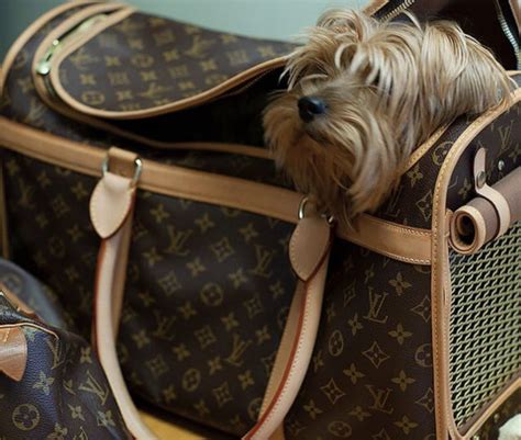 louis vuitton usa couro animal|Dog Bag Monogram .